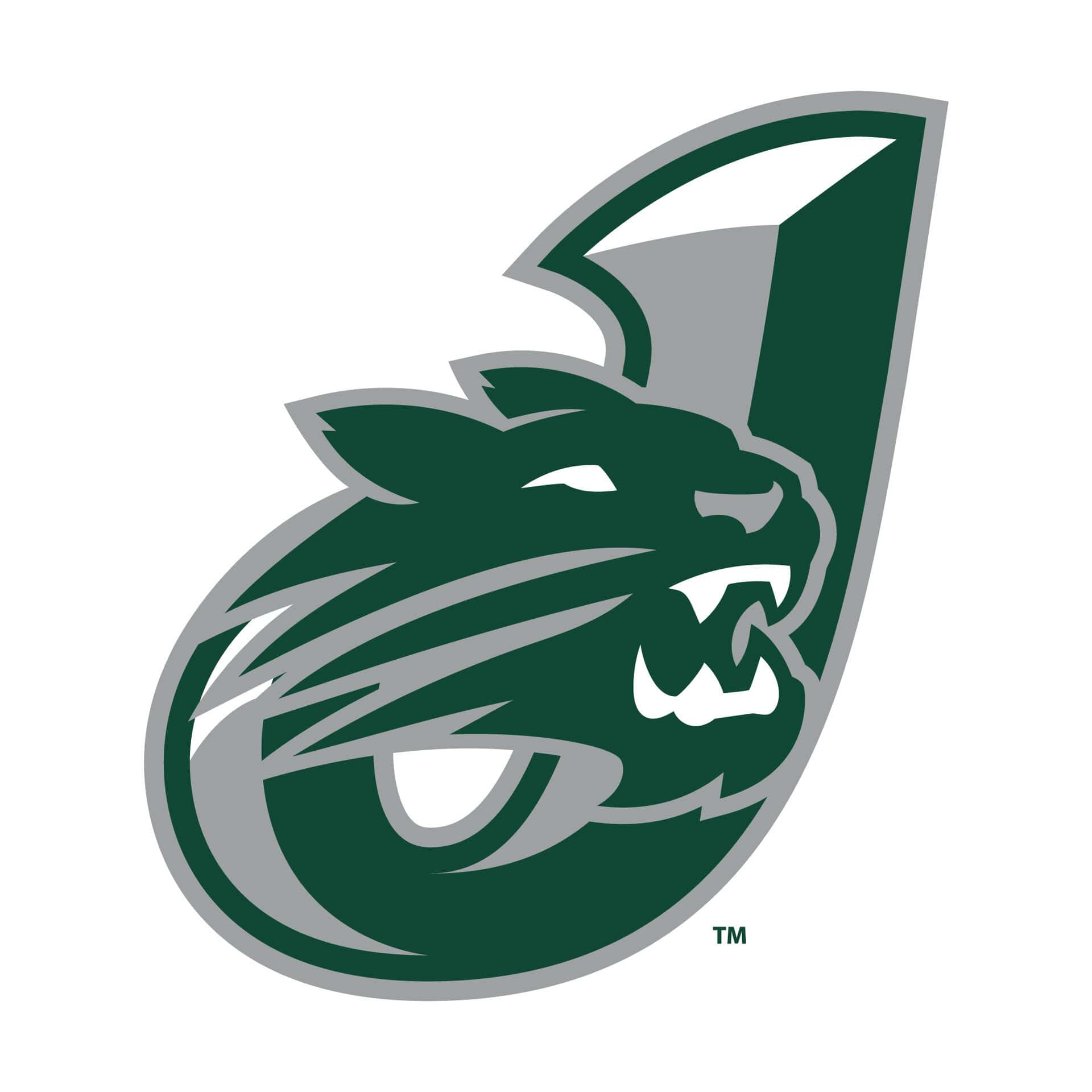 JenisonHS MascotWithInitial[1]